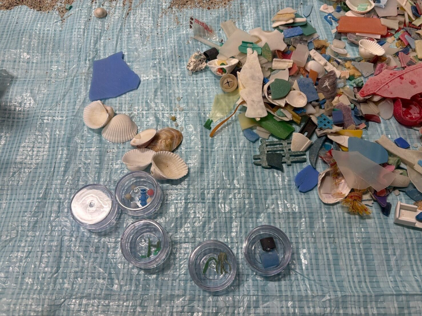 海洋プラスチックワークショップ