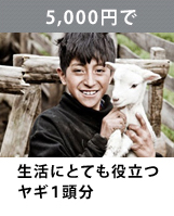 生活にとても役立つヤギ1頭分5,000円