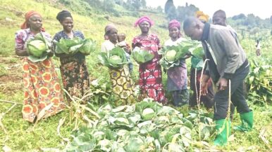 South Kivu Community Development Project (SKCDP) in the Democratic Republic of the Congo: A Decision for the Future